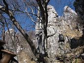 27 Alte piante e rocce